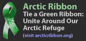 Arctic Ribbon